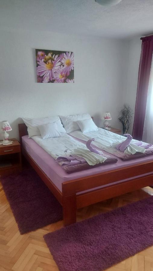 Apartments Zegarac House 科雷尼察 外观 照片